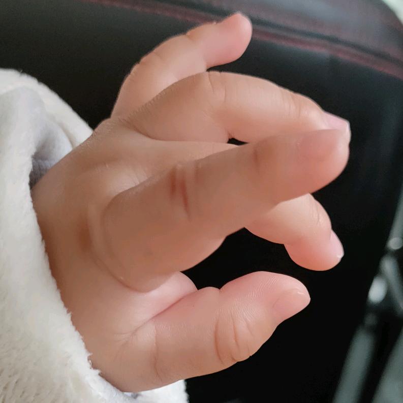 小怪兽
