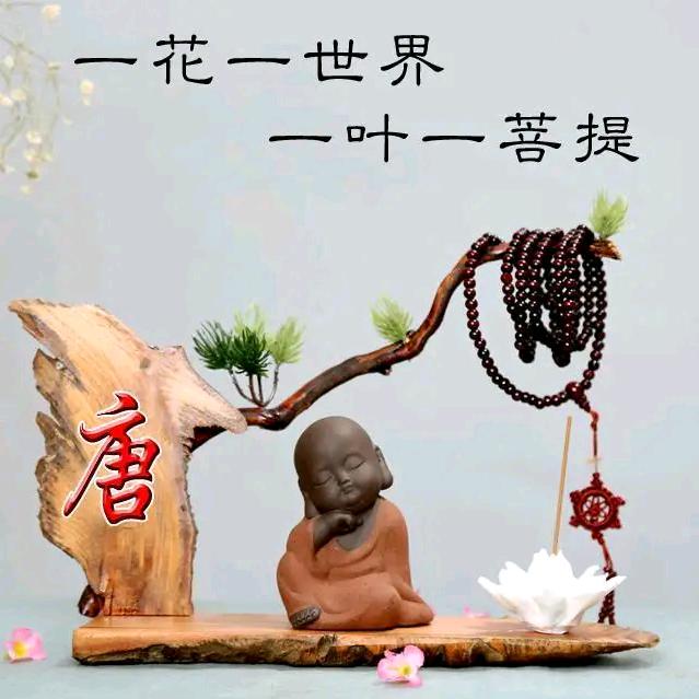 兰大服装
