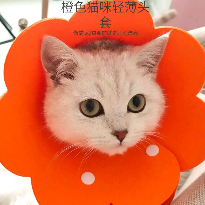 雨荷^O^