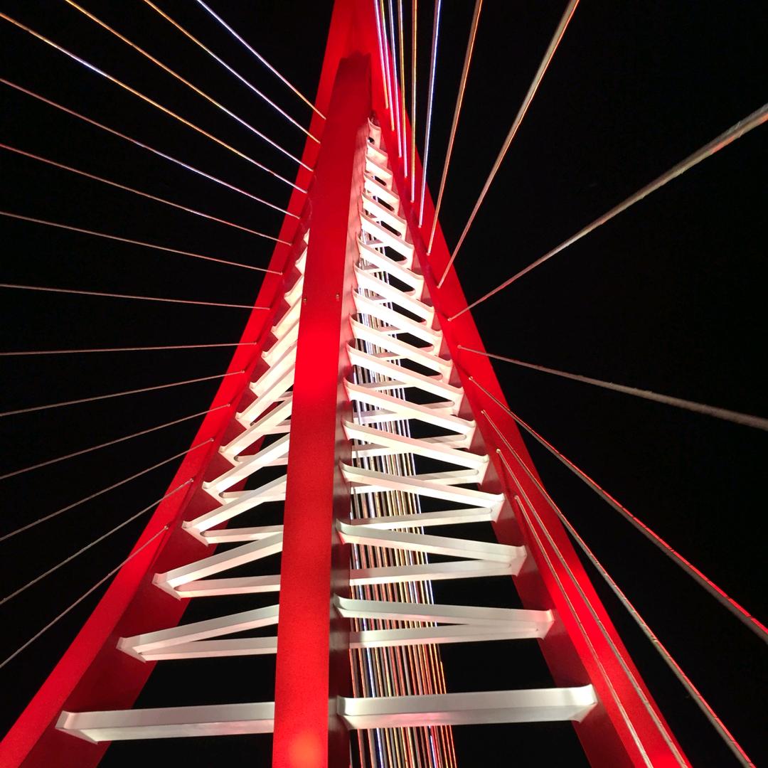 农村小伙在打猎～灯配小百科