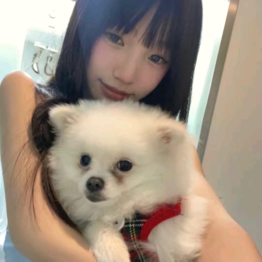 爰