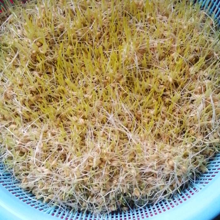 有福源在纯手工麦芽糖。