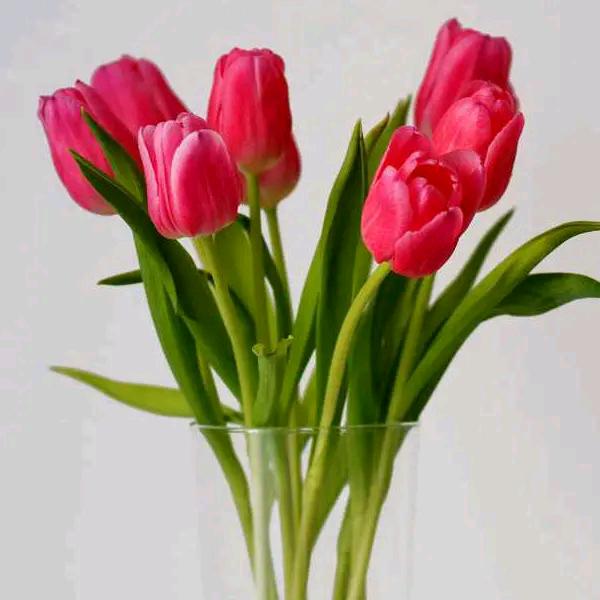 永恒相伴随 🌺🌺🌺🌺🌺🌺