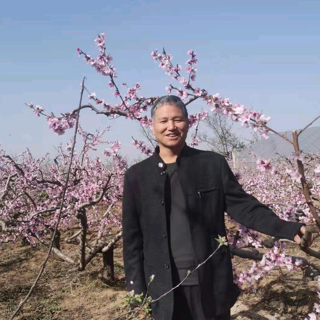 礼泉县王政农资经销部