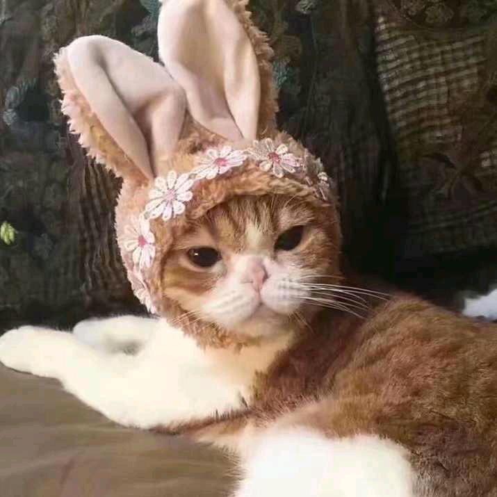 袏亞头像