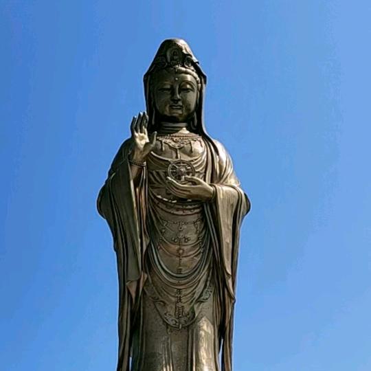 为你而‘醉