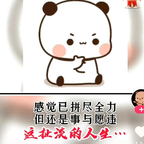 大帅小泽同学