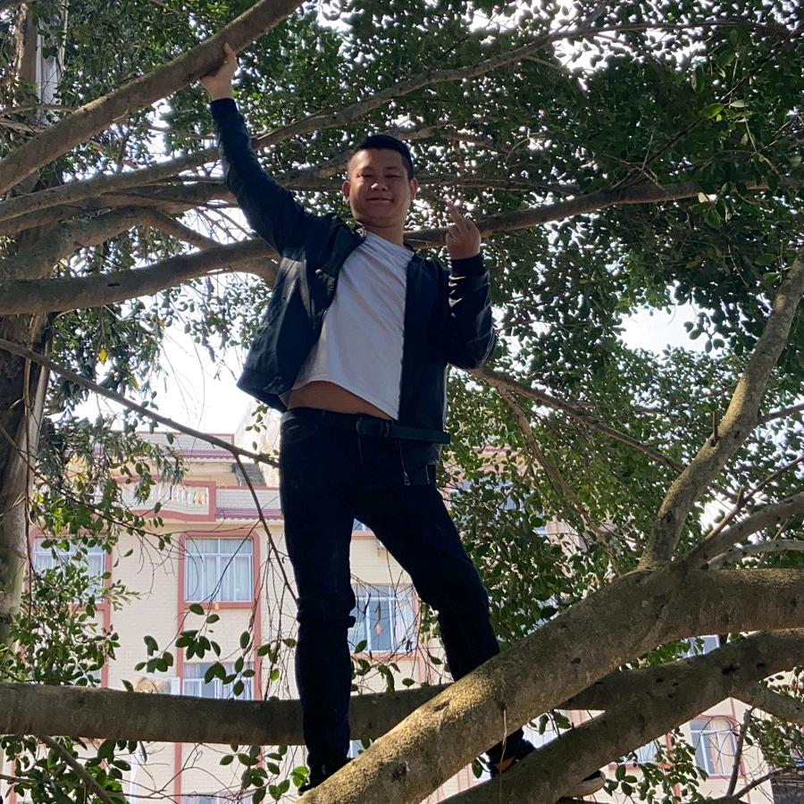 我难鹏有