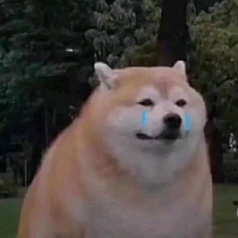 啊啊啊-啊？