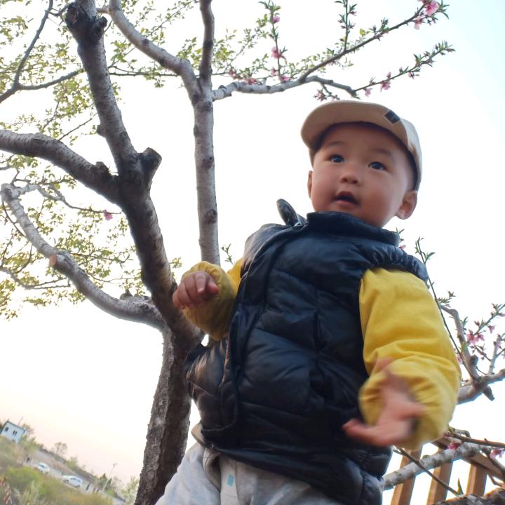 乘风破浪