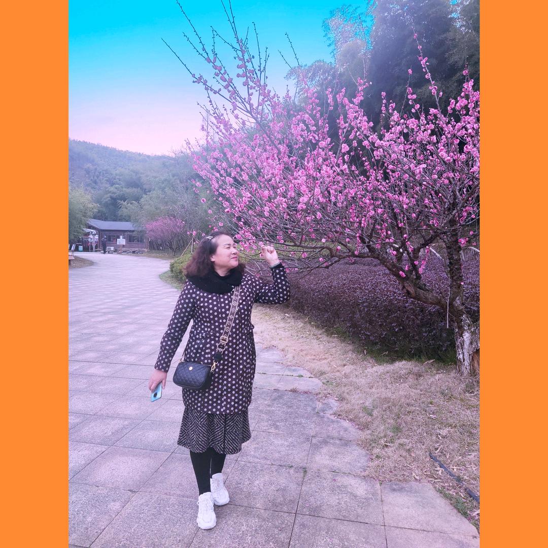 素年锦时