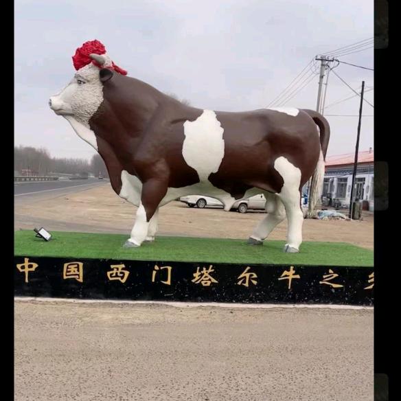 牛人志哥