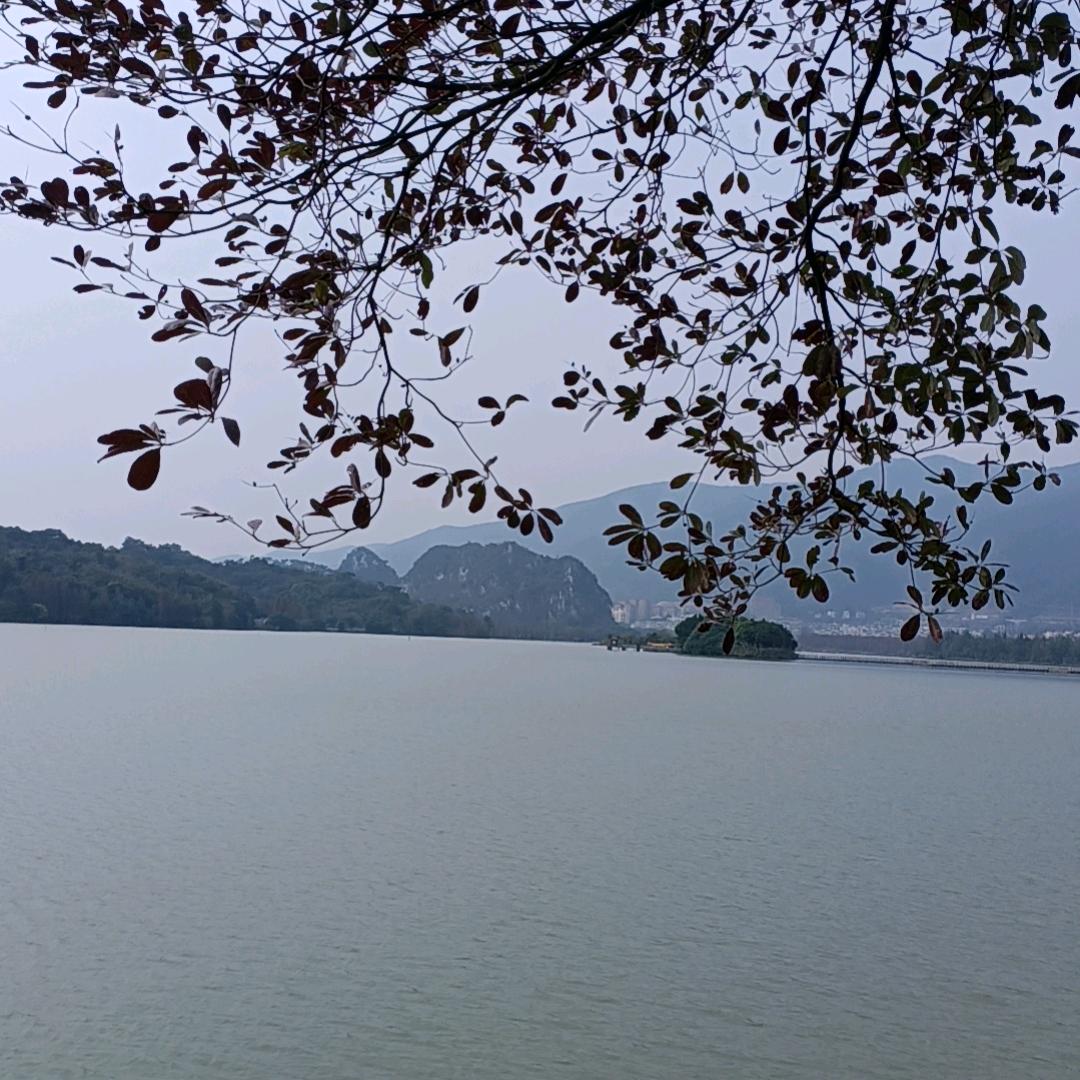 YYH全自动打钮机租售