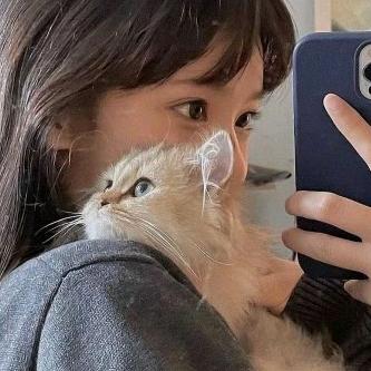 琴姐