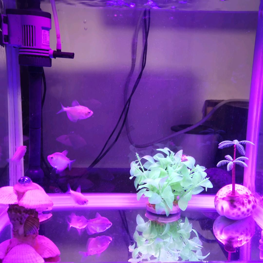 男得糊涂