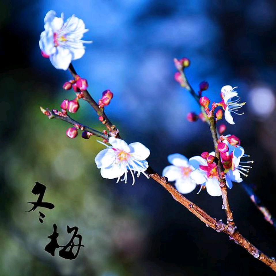 小手一背就是溜达