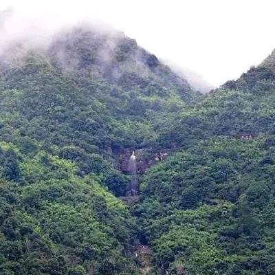 高山绿水