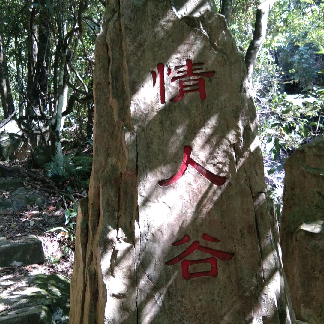 农民的情怀