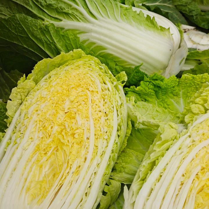 想怎么活就怎么活