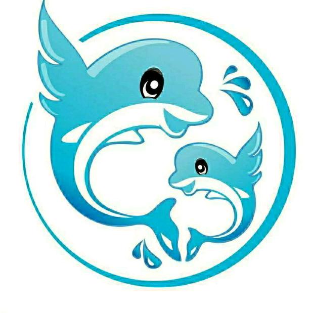 哈萌小匠（大唐果店）海豚宝宝