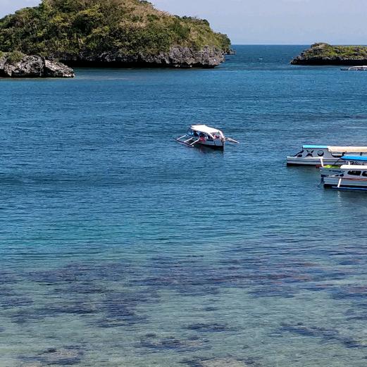 菲常向往🍦(≧▽≦)🍦