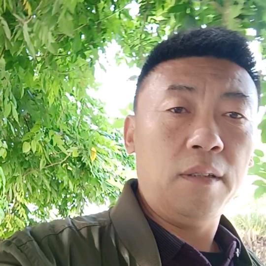 苗哥