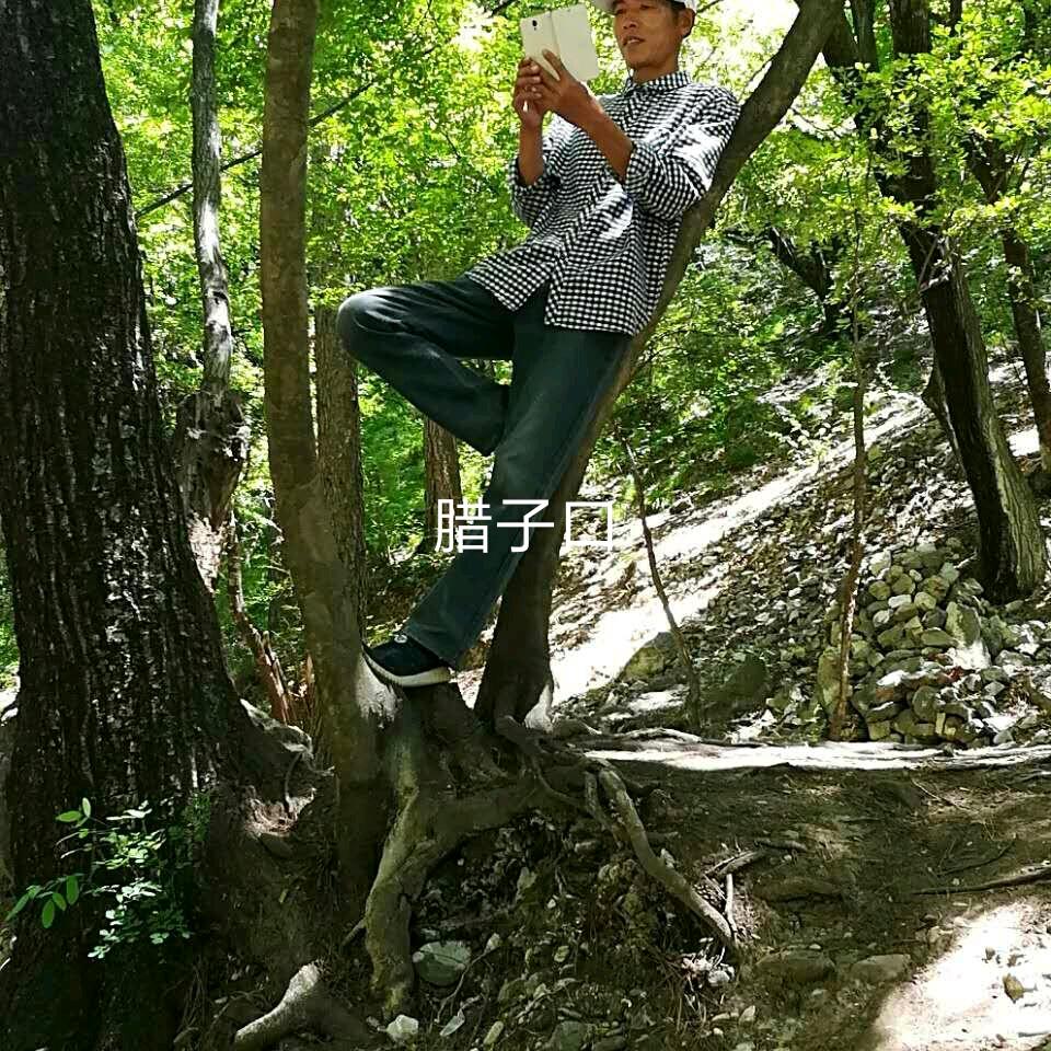 诚信