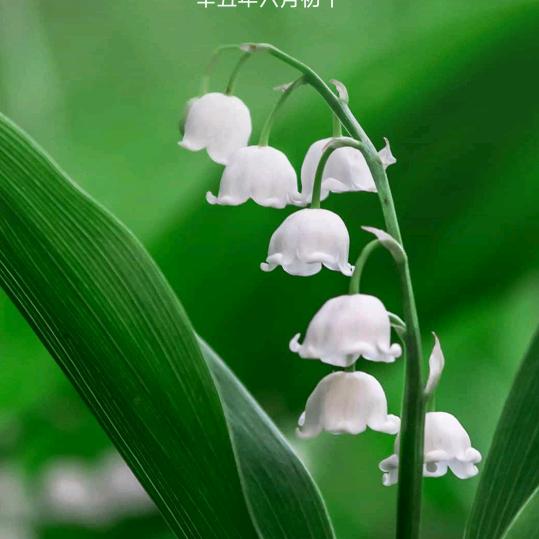 余生有你擦肩而过