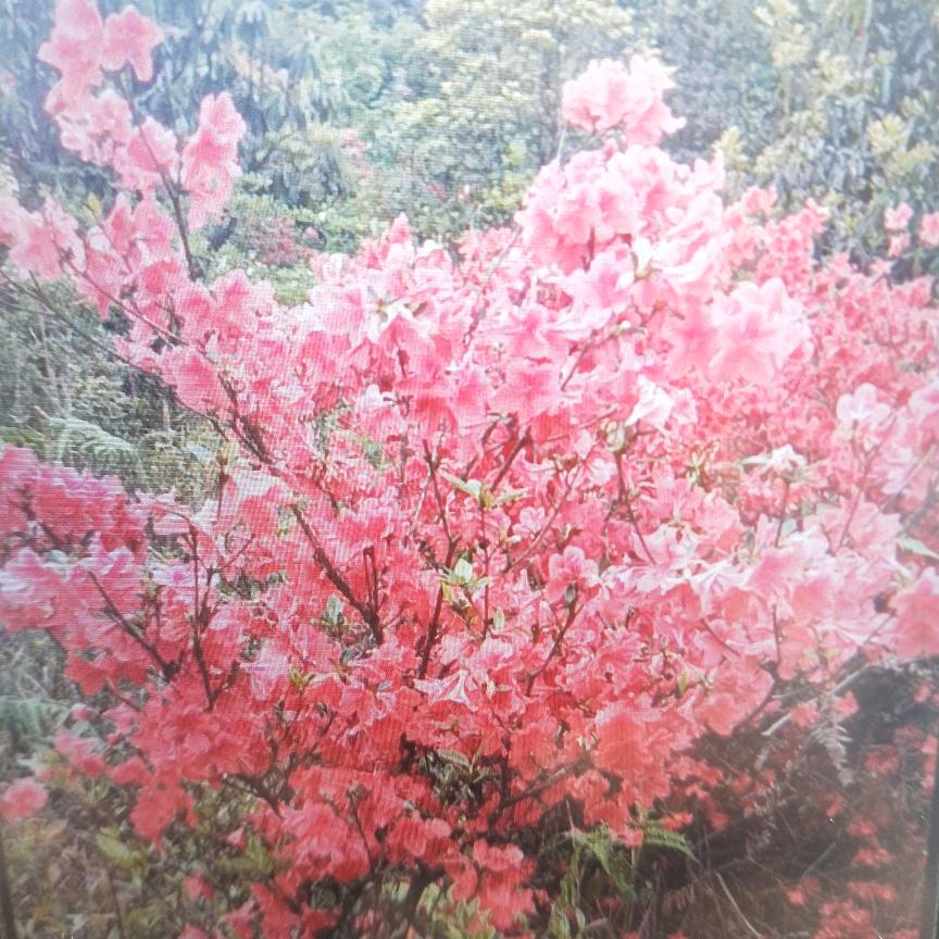 努力前行，正能量