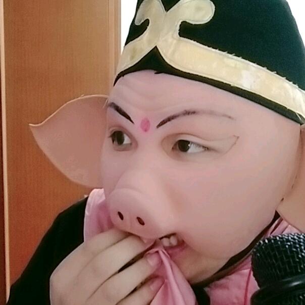 泰州猪小李
