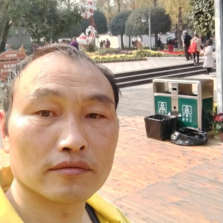 夏清