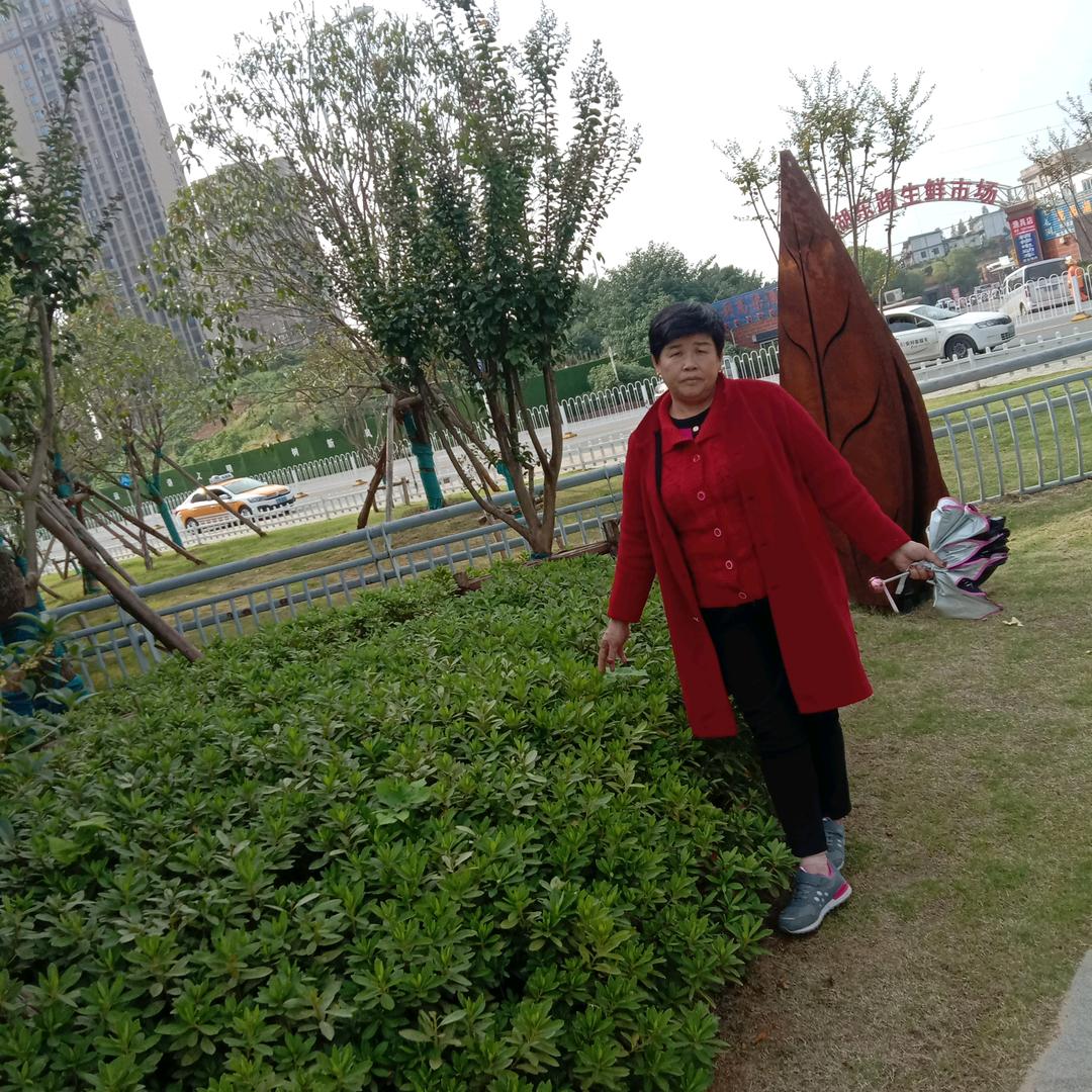 (◍•ᴗ•◍)❤蝶恋花(◍•ᴗ•◍)❤
