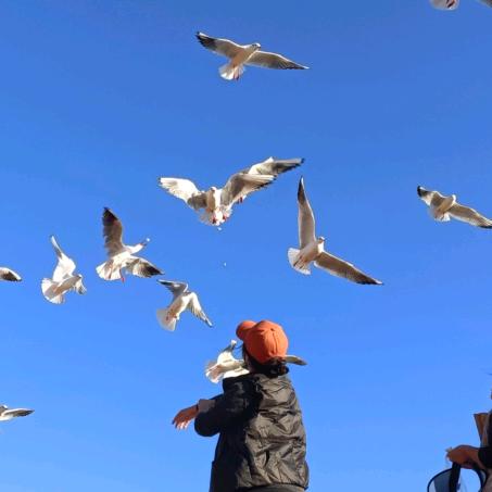 宋你离开千里之外