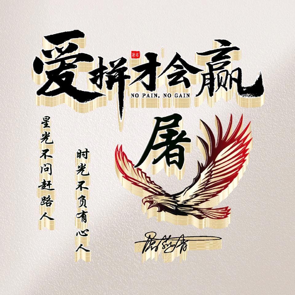 专业培训B2，A1，A3，B1屠教练