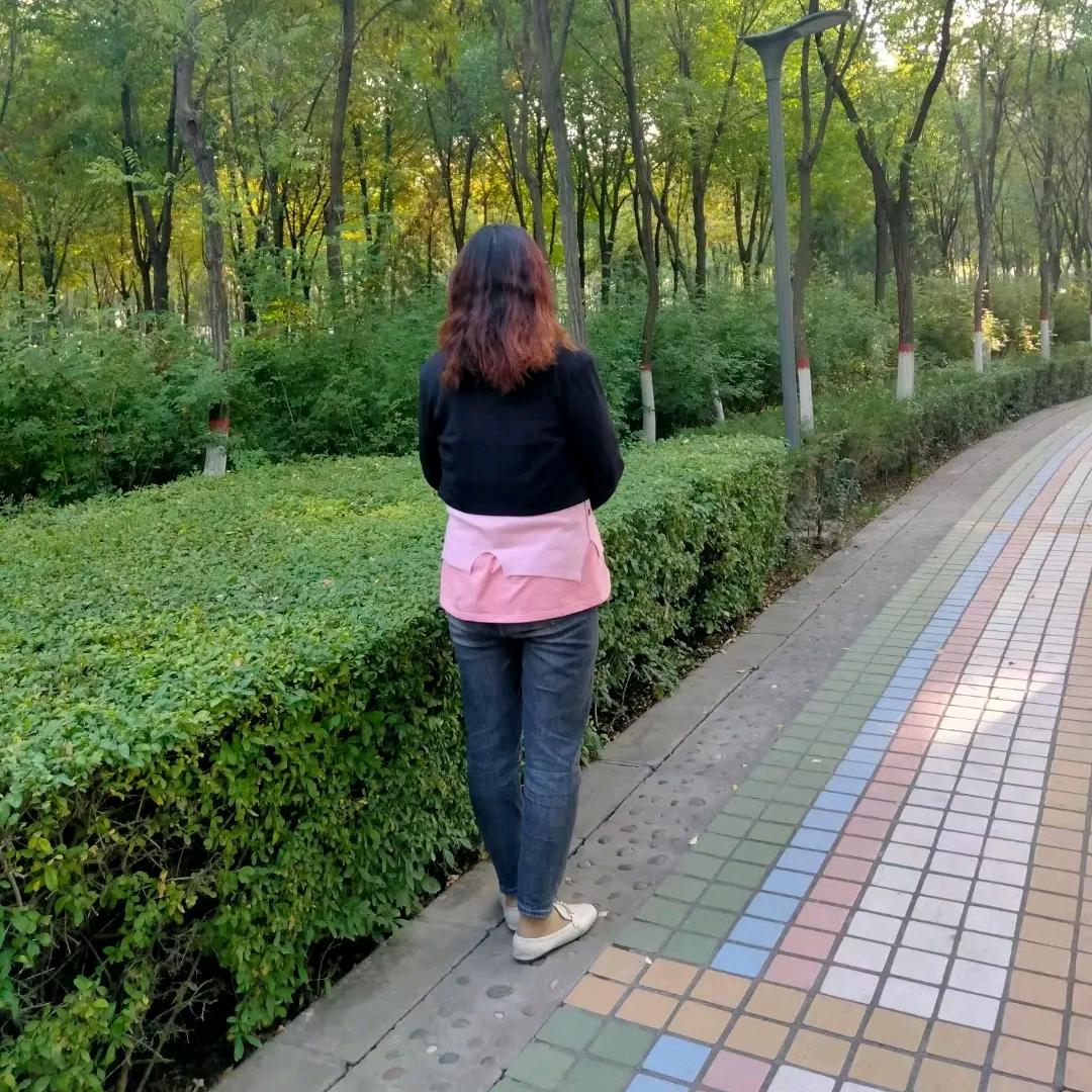 风儿