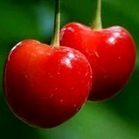花前赏月