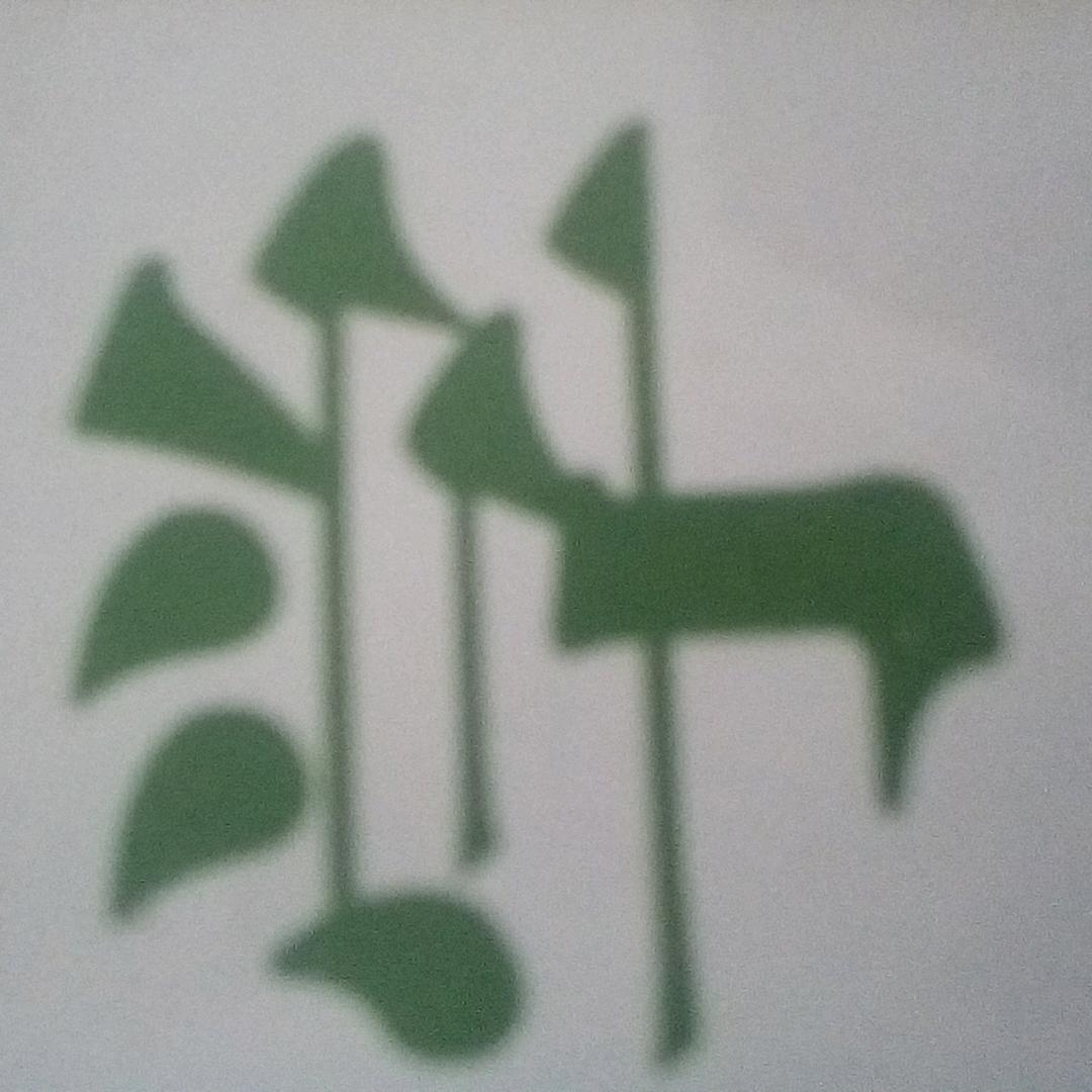 蛙石（拒绝私聊）