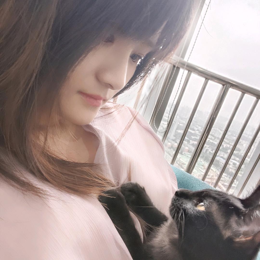 龙猫爱玩游戏