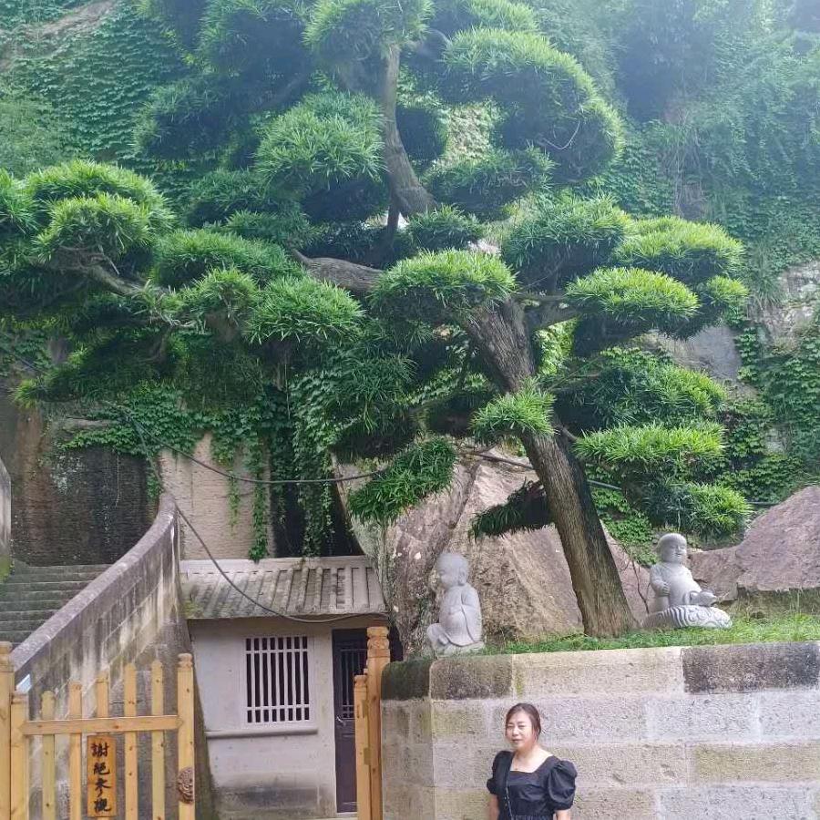 秋香姐