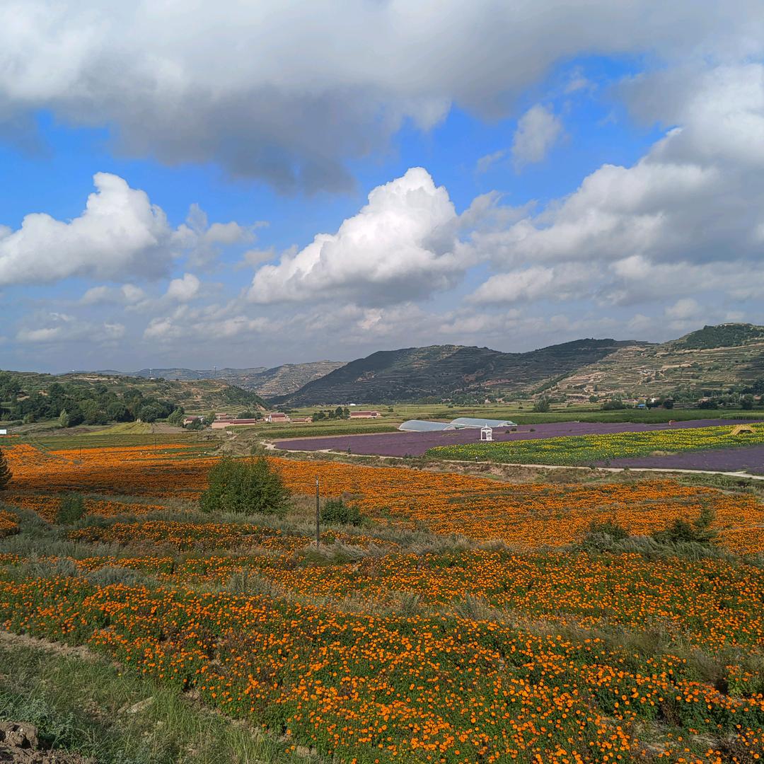 ╭(╯悄悄的╭(╯