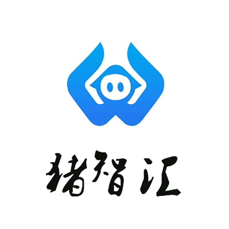 猪智汇（张老师）