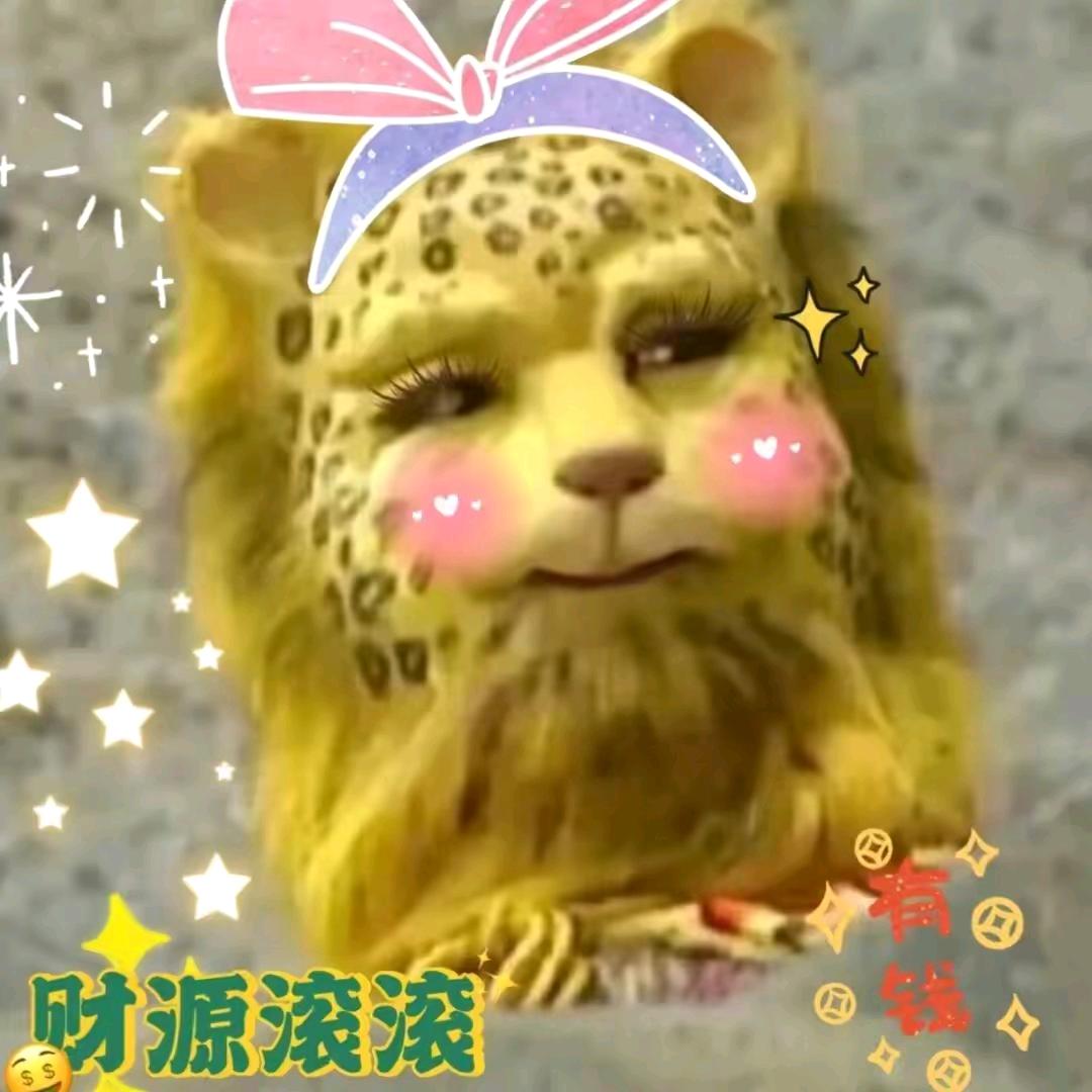 一花一世界，一叶一菩提