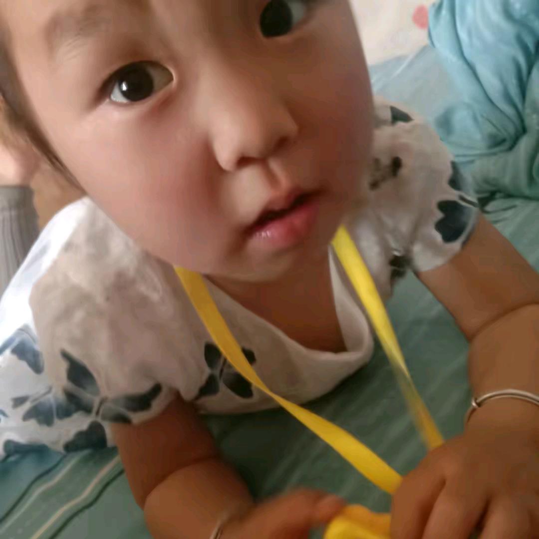情栀宛歌