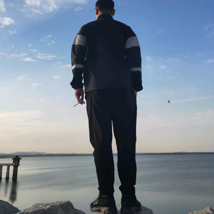 江湖人称贺老师