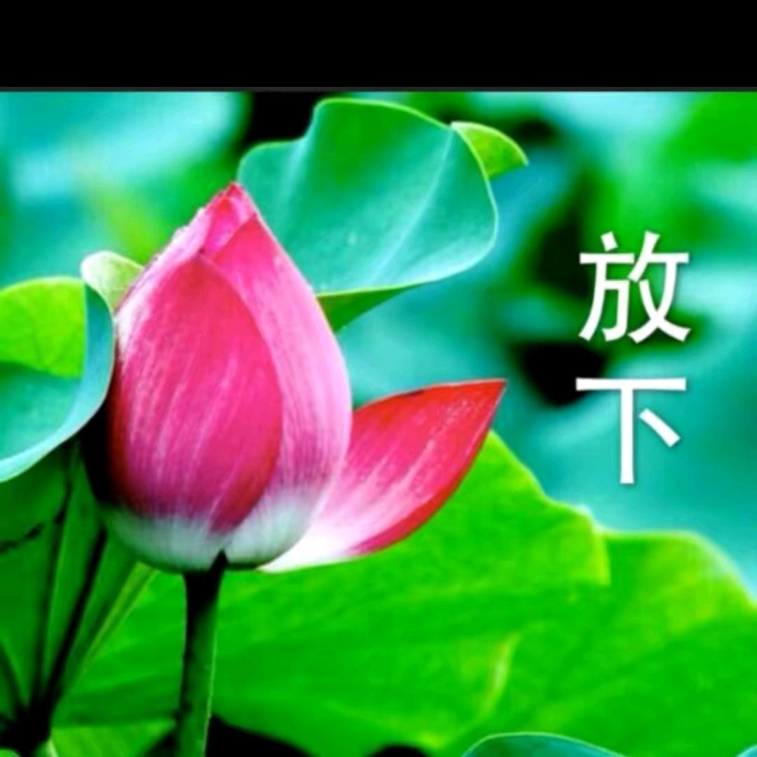 水上添花