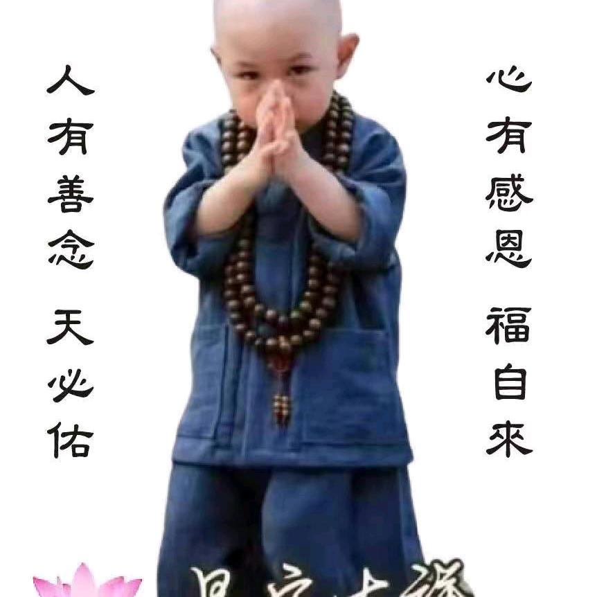老馬識途南安當旺