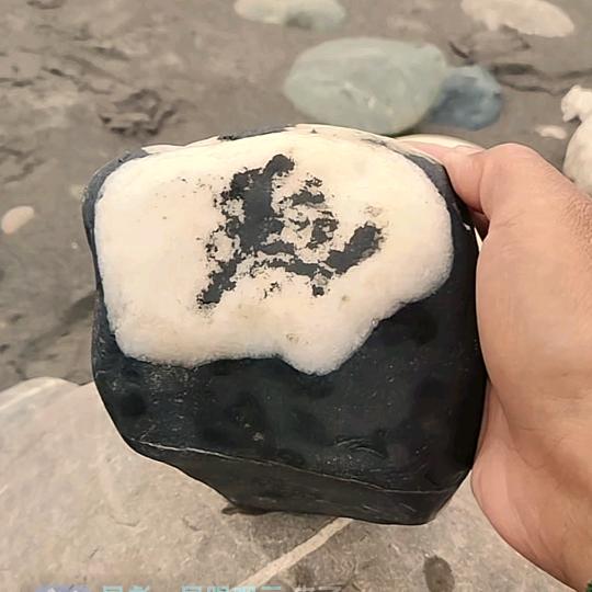 凤彪～凤眼观云