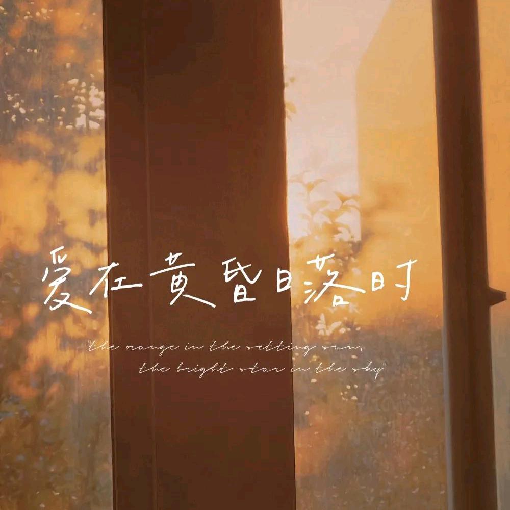 苦丁茶