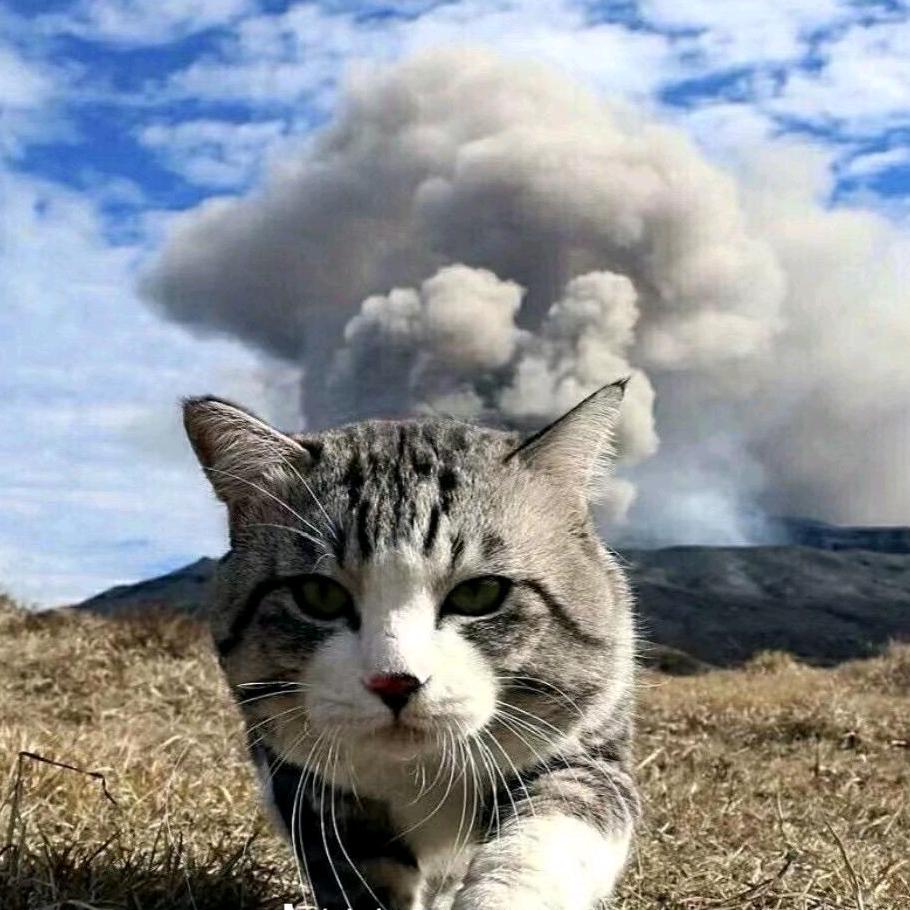 书生不输（三角洲黑工）