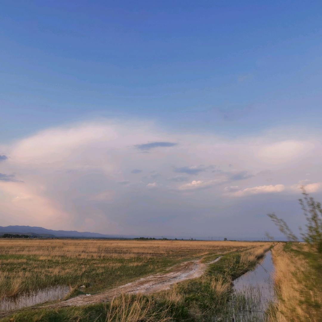 学神附体（闭关中）